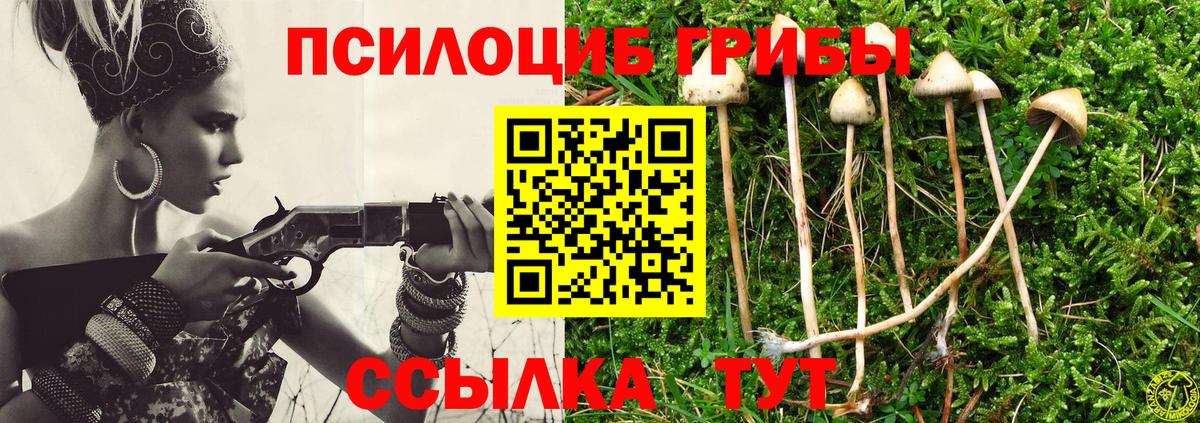 Галлюциногенные грибы Magic Shrooms  Вход с VPN  Туапсе 